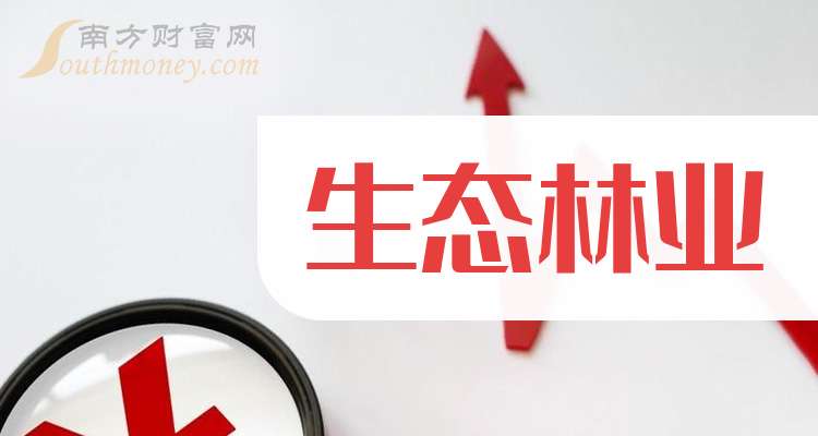 橡胶上市公司龙头的日常生活与业务风采展示