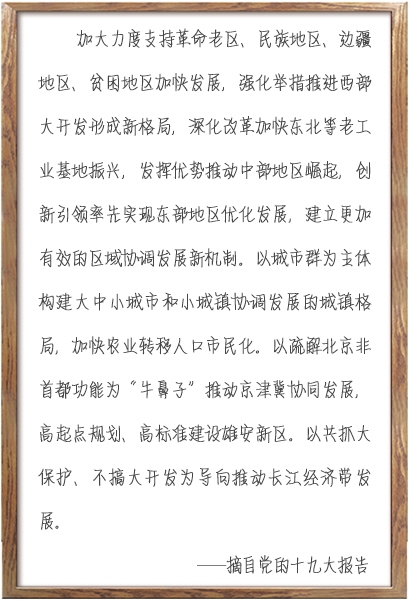 枞阳江北区发展迈入崭新篇章，最新动态揭示区域进步之路