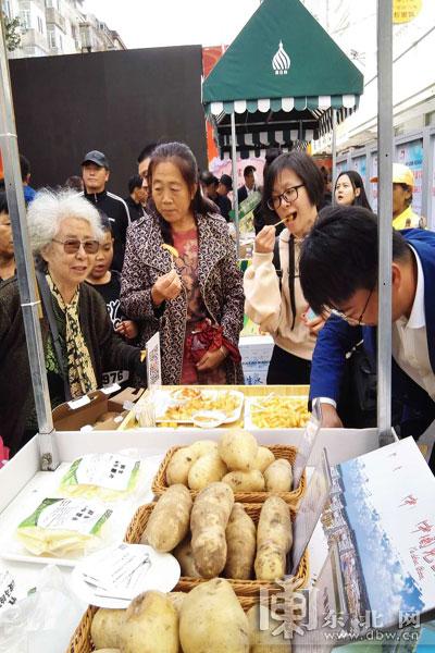 哈尔滨玉米价格最新动态更新