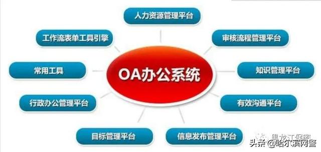 OA系统最新安全漏洞详解，影响与防范策略探究