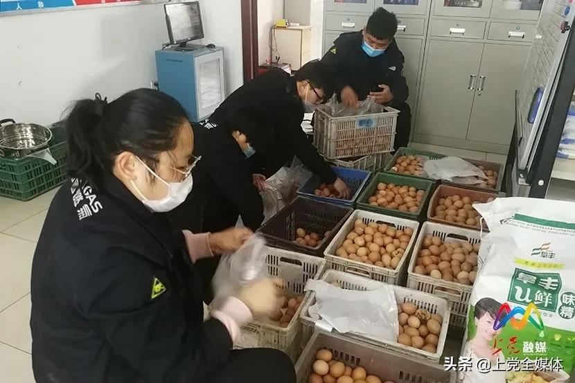 长治鸡蛋价格揭秘，历史背景、重大事件与地位影响