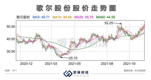 歌儿股份股票，与城市旋律共舞的投资焦点