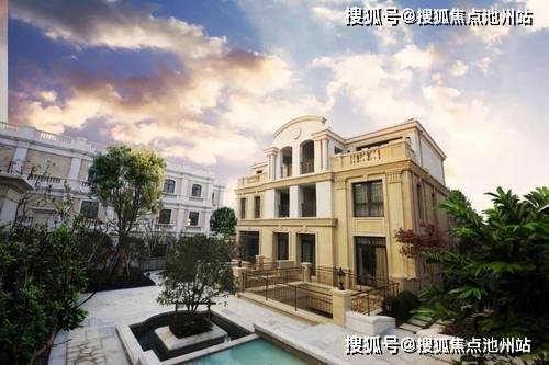 上海拍卖行情多元视角解析与观察