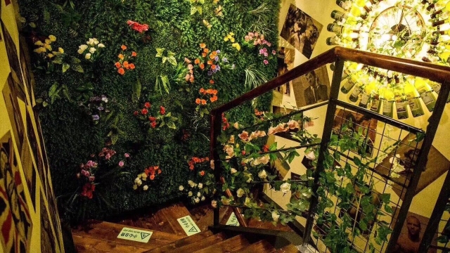 豌豆荚最新版下载，探索小巷中的秘密花园，发现特色小店