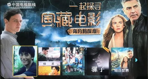 免费电影大全，深入剖析娱乐现象的魅力所在