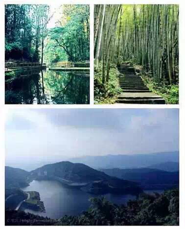 最新公园探险视频，远离尘嚣的内心平静之旅