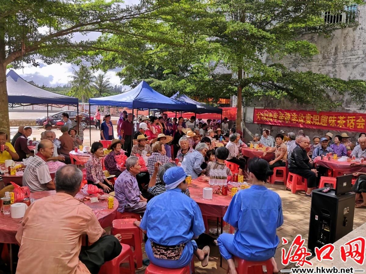 海口最新区域信息探秘，温情故事在其中
