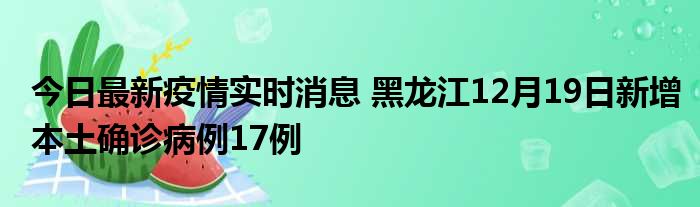 黑龙江最新疫情动态更新，实时关注疫情动态变化