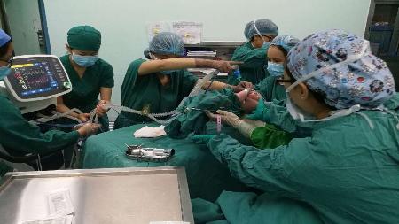 热血沸腾的瞬间，死神便利最新赛事回顾
