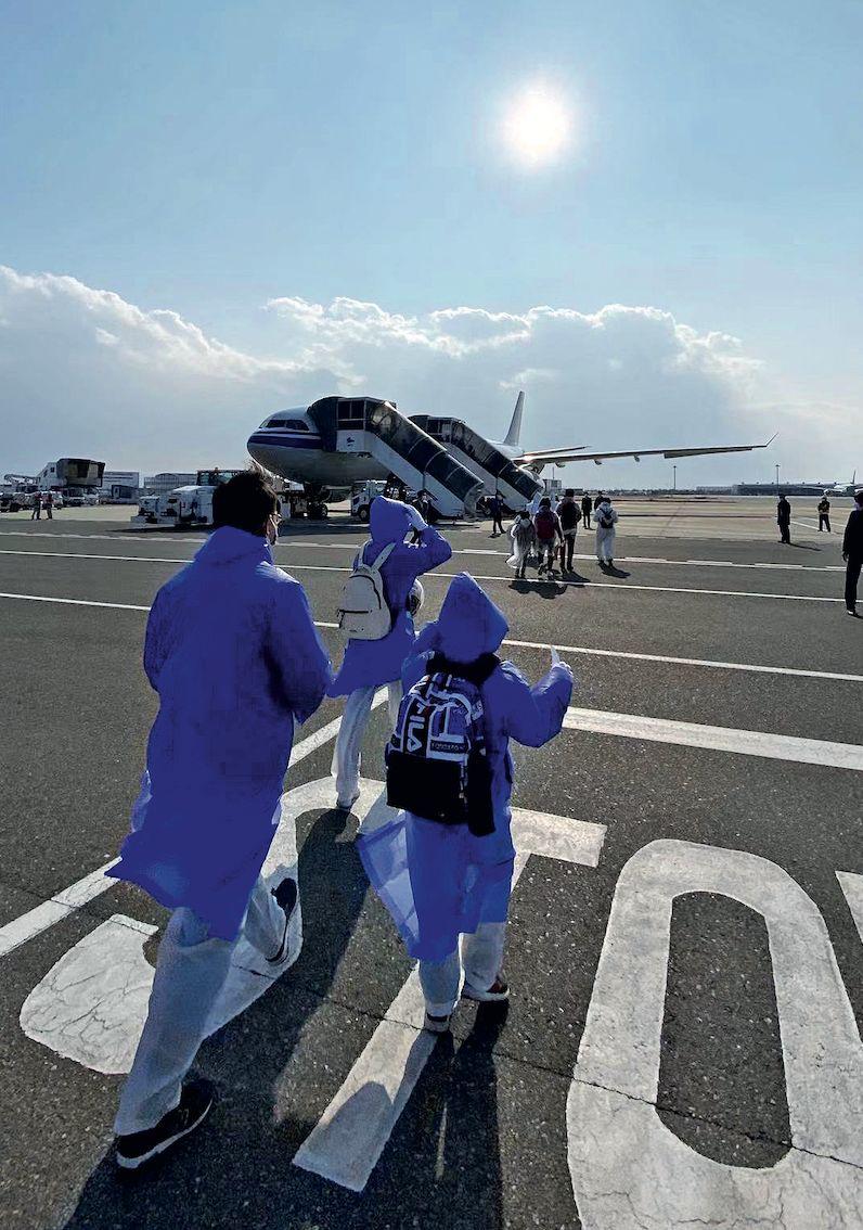 航班疫情动态下的自然探索之旅，重拾内心的宁静与平和