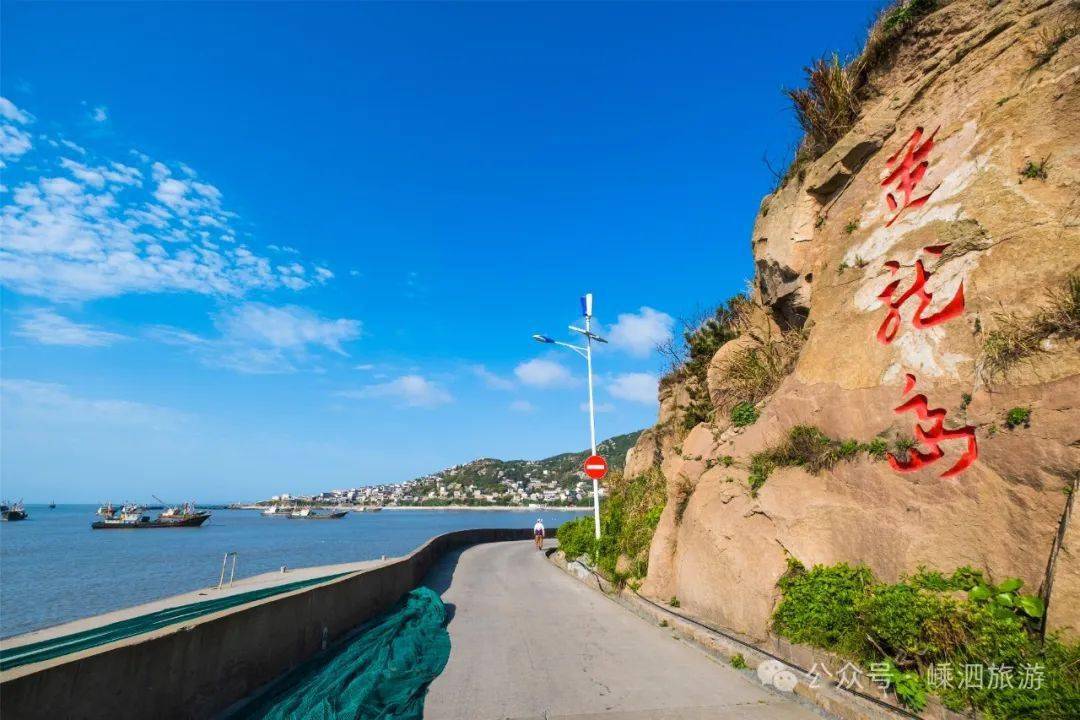 寿龙岛最新资讯更新，小巷独特风味探秘之旅