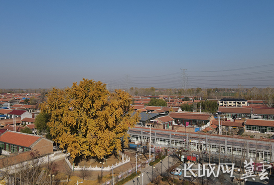 三河市新集镇最新动态，与自然美景的邂逅，探寻内心平和宁静之旅