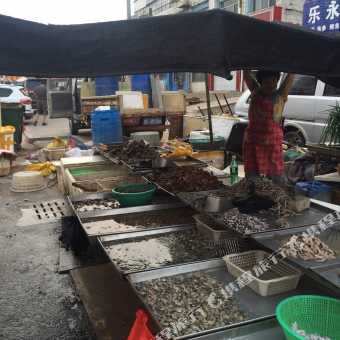 海阳最新店铺租赁信息汇总