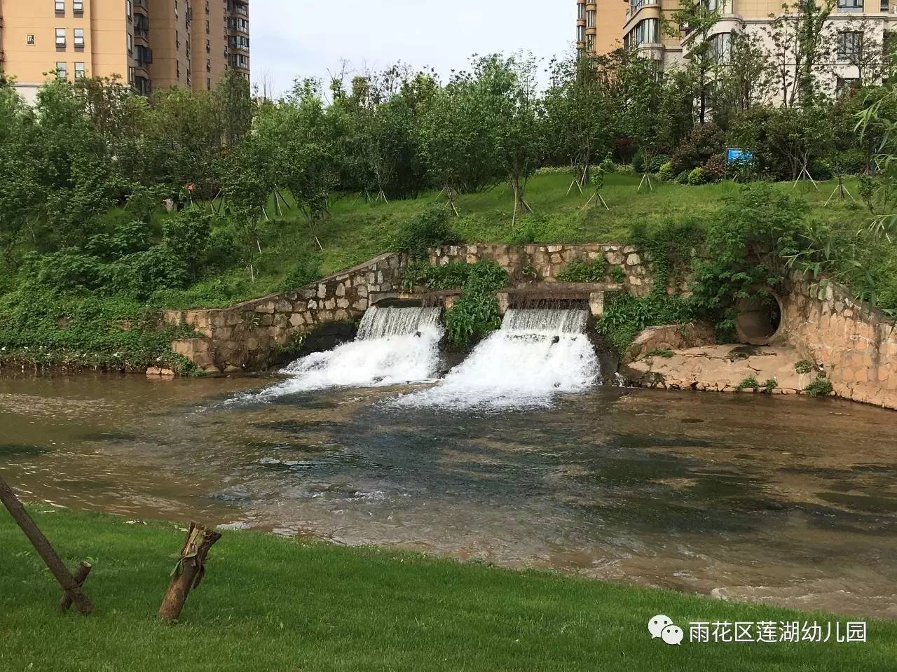 阮建荣的近期动态，自然美景中的心灵之旅