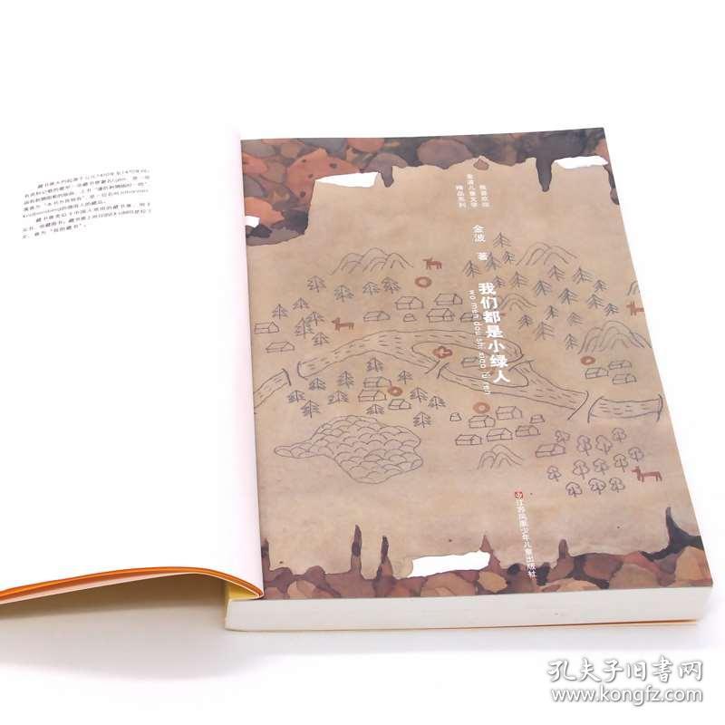 垃圾焚烧炉 第110页
