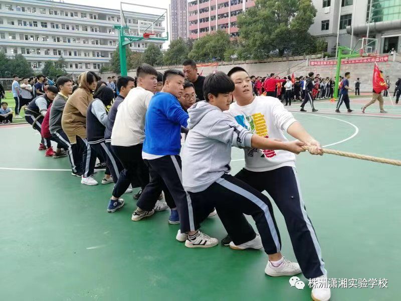 拔河比赛技巧视频，心灵与自然的美景之旅，探寻内心宁静平和之道