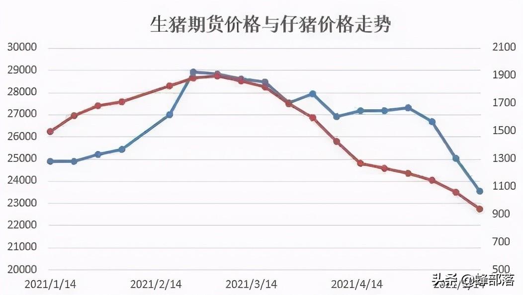 最新猪价走势分析与预测