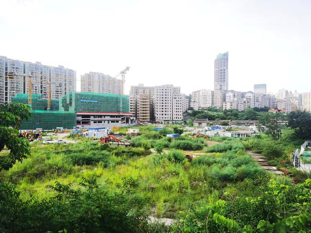 南门墩最新动态更新，最新发展及变化