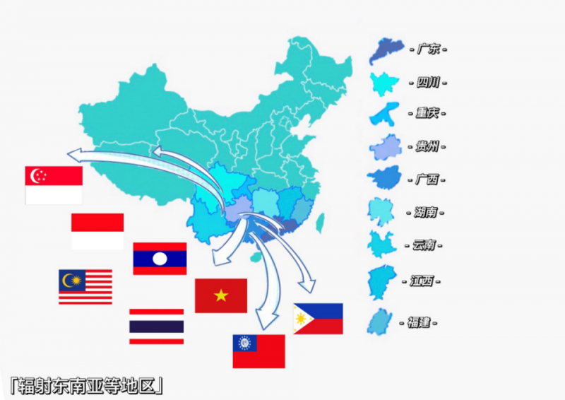 华南市场动态深度解析与观点阐述