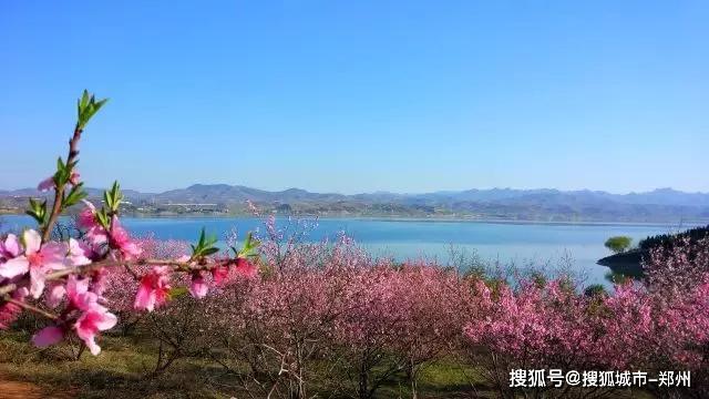 最新萌宝花园，与自然美景的邂逅，寻找内心的平和之旅