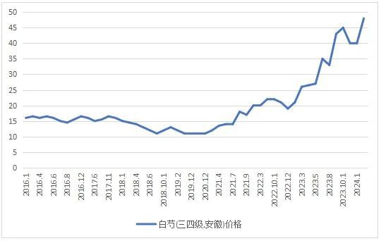 白芍种子价格分析，市场走势与多元观点探讨