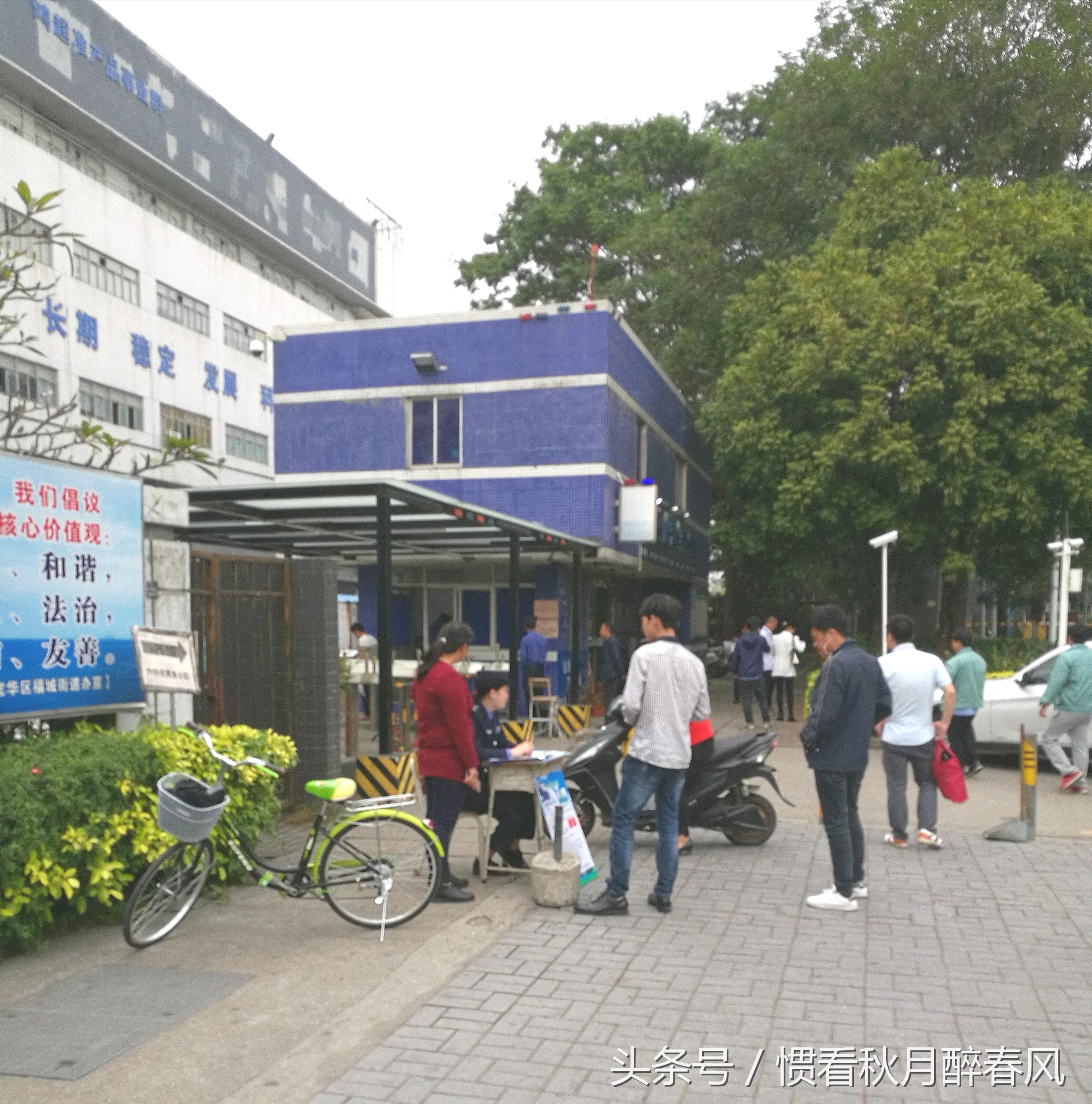 深圳观澜最新招聘信息全攻略，获取指南与机会解读