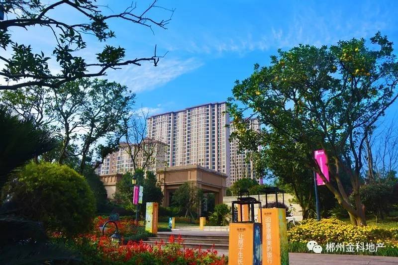 济南金科城，与自然美景的邂逅，内心平和之旅的最新动态
