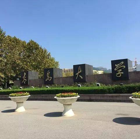 宜宾大学城最新动态，巷弄深处的独特风味小店探秘！