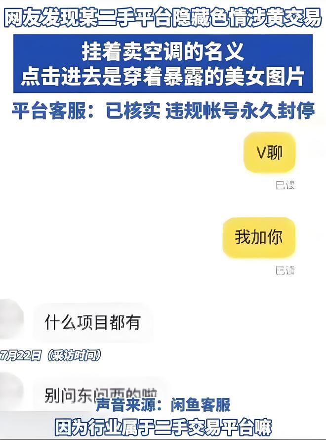 闲鱼最新暗号，探索变化中的学习，自信与成就感的魔法咒语
