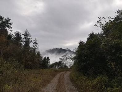 酉彭高速最新动态，驶向自然美景的奇妙之旅探索内心平静