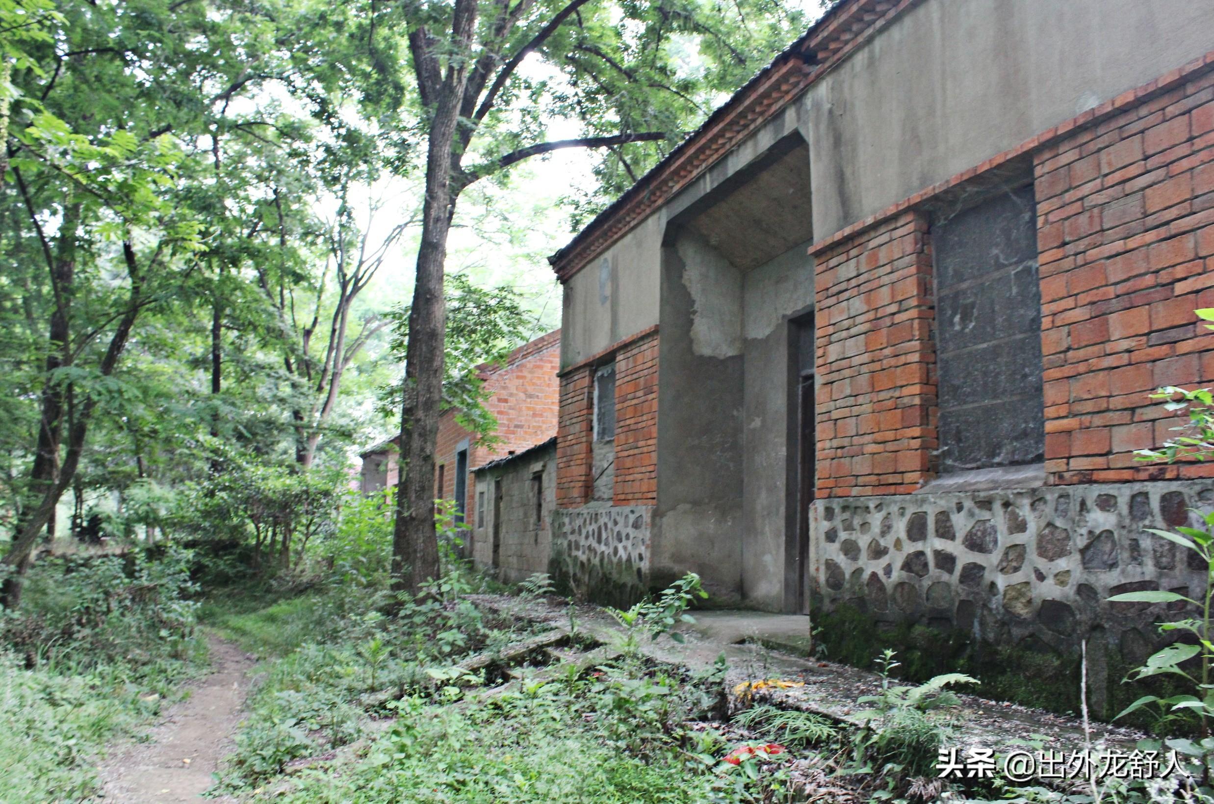 舒城县最新招聘，小巷深处的职业机遇