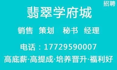 磁县招聘网最新招聘信息，求职全攻略，适合初学者与进阶用户