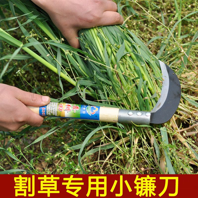 小型垃圾焚烧炉 第86页