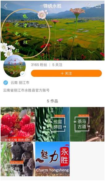下载最新版的快手,下载最新版的快手，体验全新功能与独特魅力
