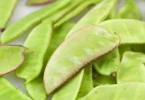 丝瓜视频最新版本,丝瓜视频最新版本使用指南——初学者与进阶用户的共同选择