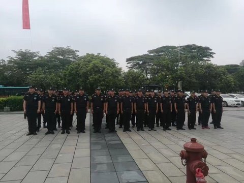 最新信息及详细步骤指南