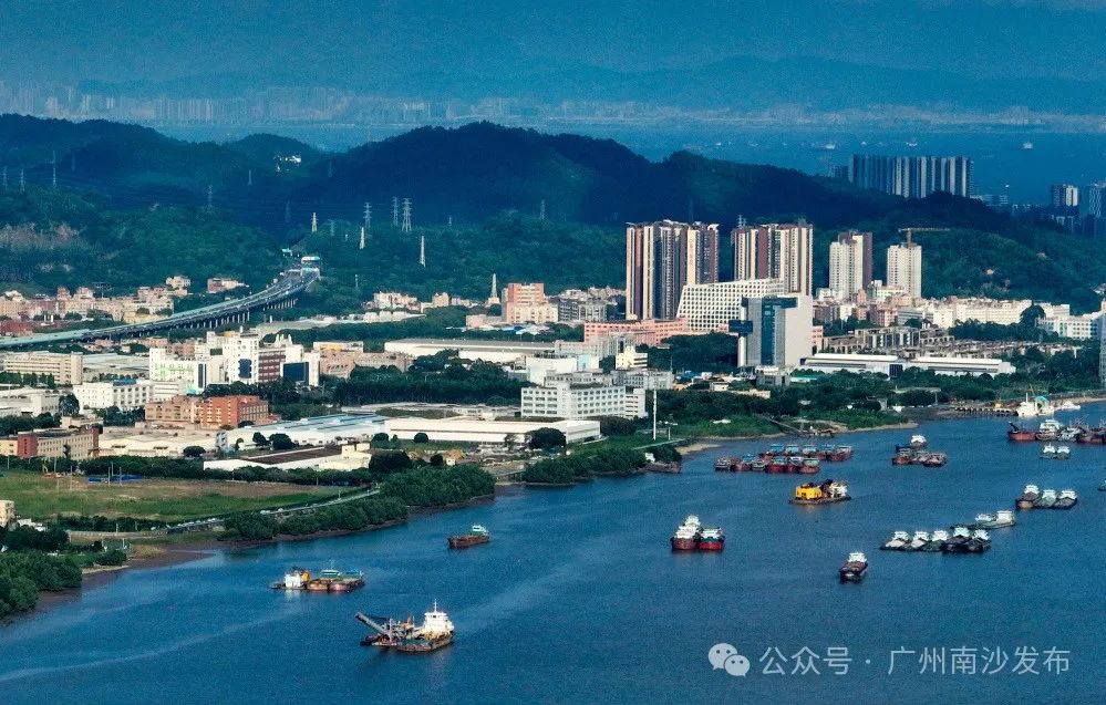 广州南沙最新发展动态，新闻热点与各方观点深度探析
