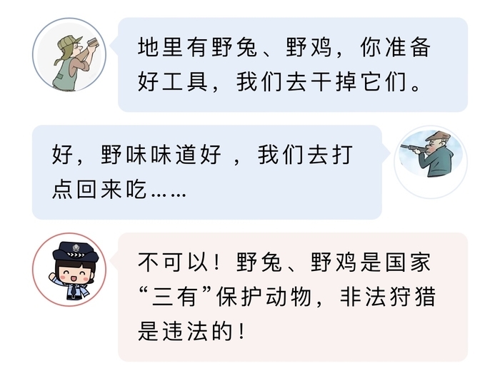 最新地址野鸡网及其使用指南