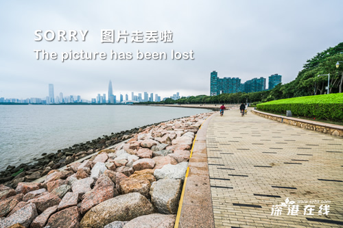 内蒙古地震最新消息及应对地震详细步骤指南（初学者与进阶用户通用）
