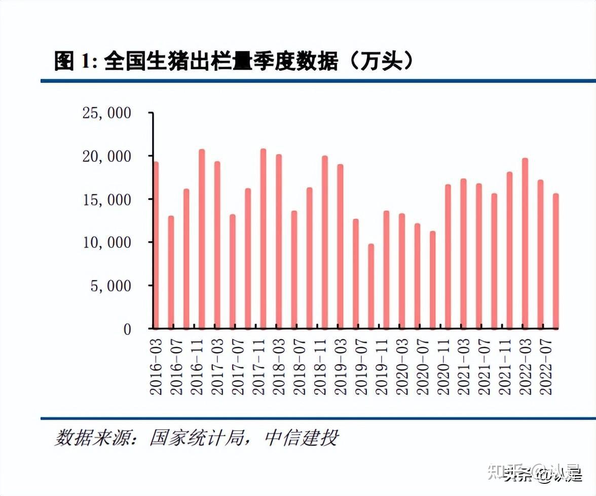 毛猪最新价格动态，市场走势、影响因素与案例分析
