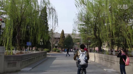 谷歌空间最新版，与自然美景的邂逅，探索内心平和之旅