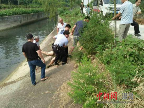 老河口新闻最新消息,老河口新闻最新消息