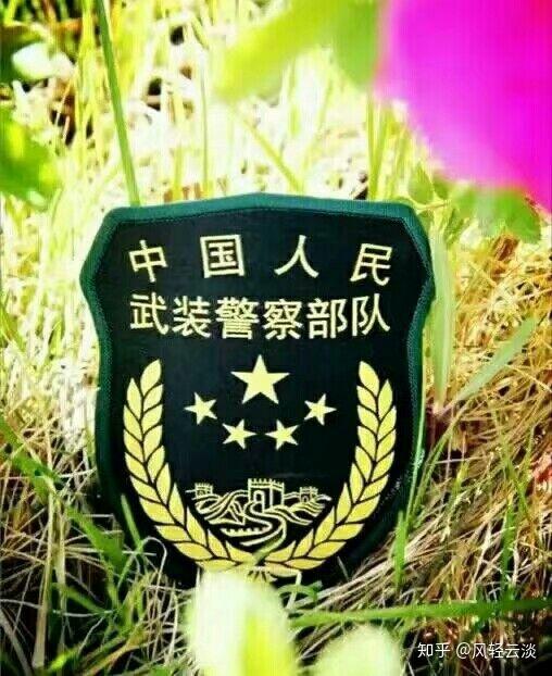 最新臂章，友情与陪伴的温馨篇章