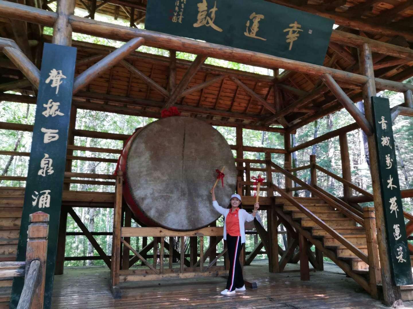 森林最新修改器，学习之旅中的变化与自信成就的力量探索