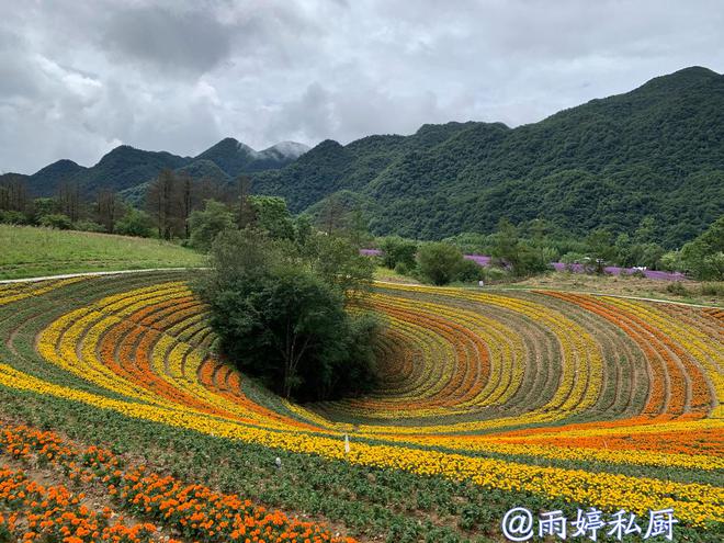 最新秒贷，一场说走就走的自然美景探索之旅