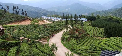 梅山搬迁最新动态，探寻自然美景之旅，寻觅内心平和之地