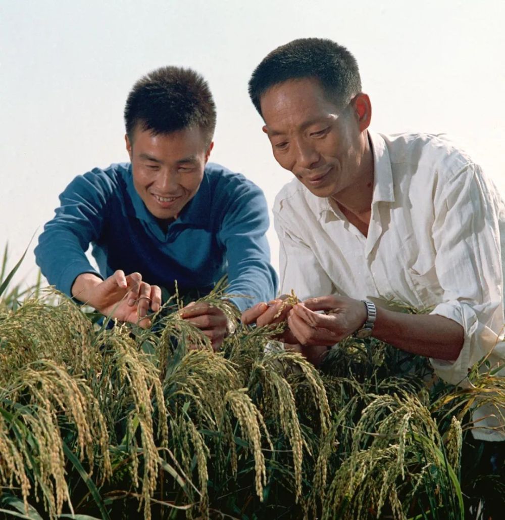 大连电瓷重塑科技生活，引领未来发展趋势