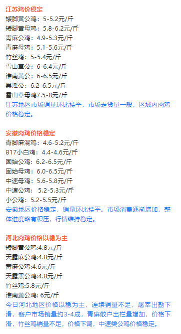 最新淘汰鸡价格行情动态更新及分析预测