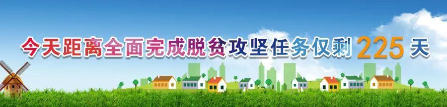 歼31最新进展,歼31最新进展及其相关论述