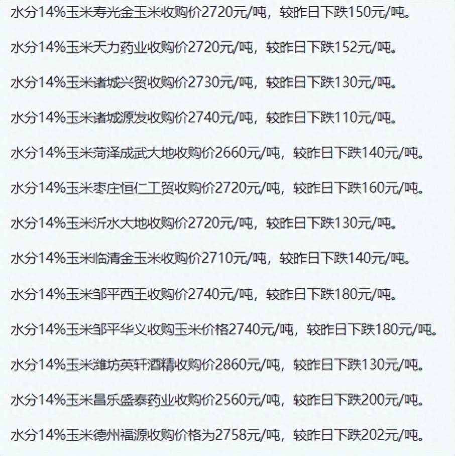 聊城玉米价格最新动态更新